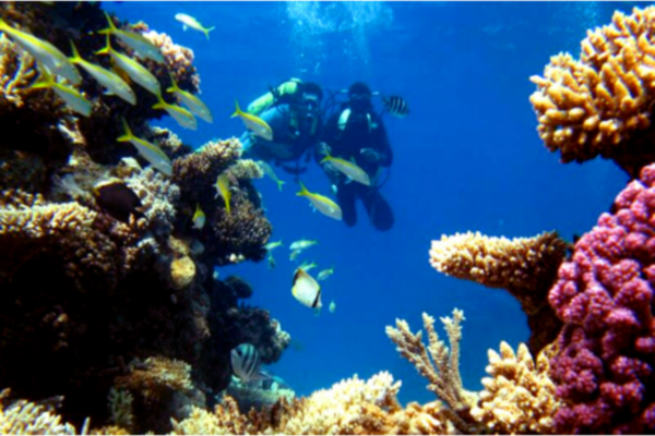 Diving in Hurghada