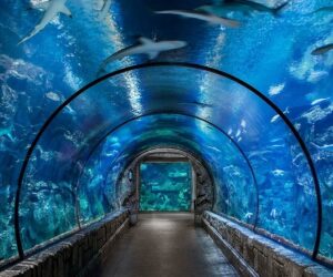 Grand Aquarium Hurghada