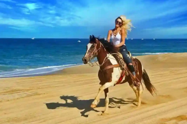 Horseback Riding in Hurghada